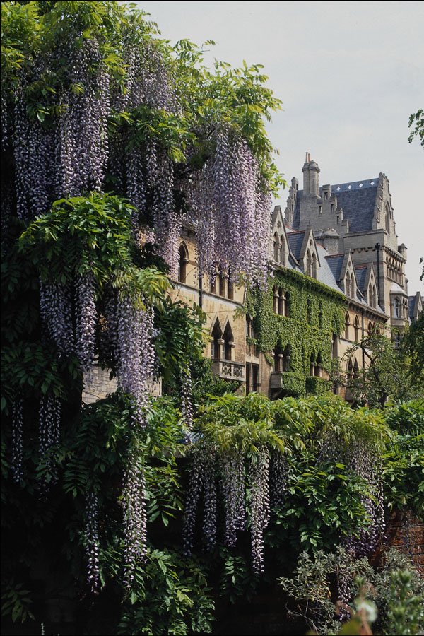 777045 Christ Church Garden, Oxford, England A4 Photo Print