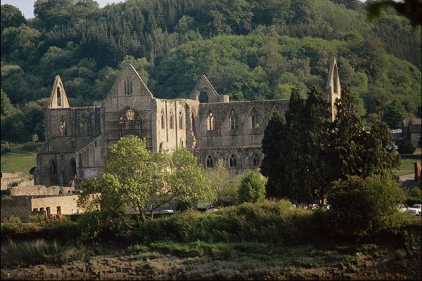 777059 Tintern Abbey, Wye Valley, England A4 Photo Print