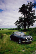 778039 1960 Aston Martin DB4 Zagato GT A4 Photo Print