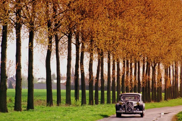 778041 1951 Citroen 15CV A4 Photo Print