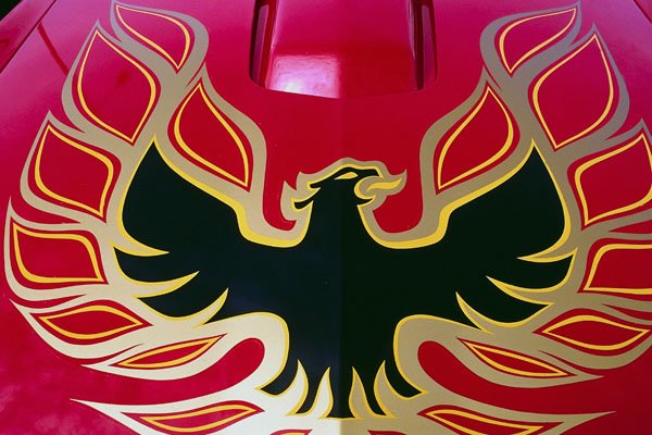 778071 Pontiac Trans Am, Screaming Eagle Hood A4 Photo Print