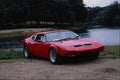 779005 Detamoso Pantera A4 Photo Print