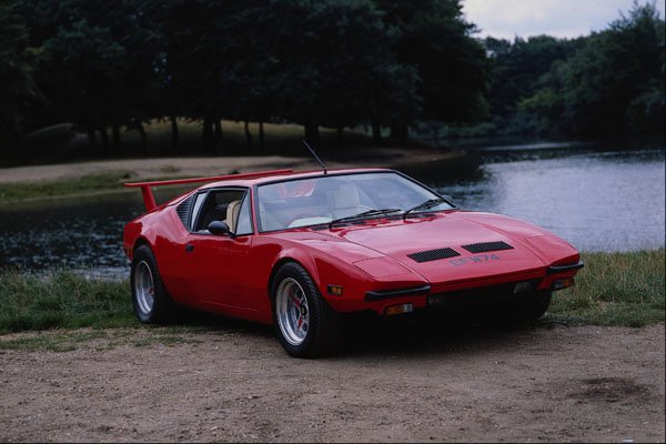 779005 Detamoso Pantera A4 Photo Print