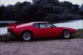 779008 Detamoso Pantera A4 Photo Print