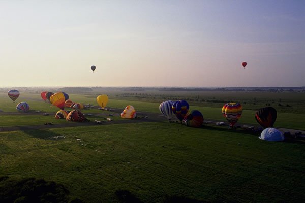 781002 Landed A4 Photo Print