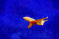 781039 Executive Jet A4 Limited Edition Watercolour Print