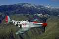 781058 Mustang P 51 A4 Photo Print