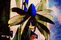 781084 D27 Propfan, Experimental, Russia A4 Limited Edition Watercolour Print