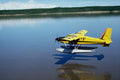 781089 Beaver, Landing On River A4 Photo Print