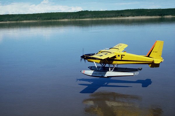 781089 Beaver, Landing On River A4 Photo Print