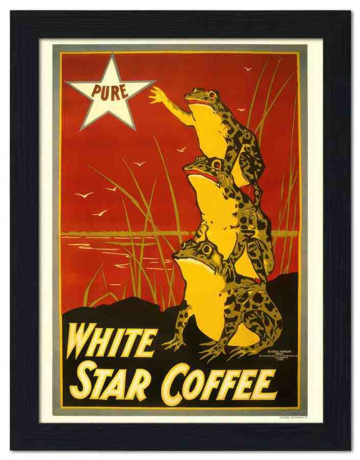 781K white star coffee frogs 2 Vintage Advert A4 Photo Print