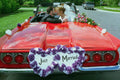782010 Bride And Groom Kissing In A Convertible A4 Photo Print