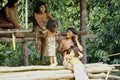782035 Members Of Pygmy Village, Amazon Jungle A4 Photo Print