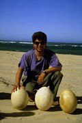 782045 Aeropornis Bird's Eggs A4 Photo Print