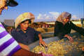 782057 Villagers Sorting Peanuts, Kourklia A4 Photo Print