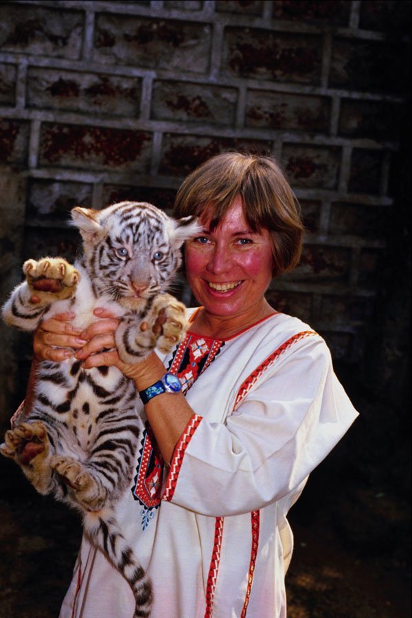 782072 Two month old Tiger Cub A4 Photo Print