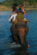 783048 An Elephant Ride, Royal Chitwan National Park, Nepal A4 Photo Print