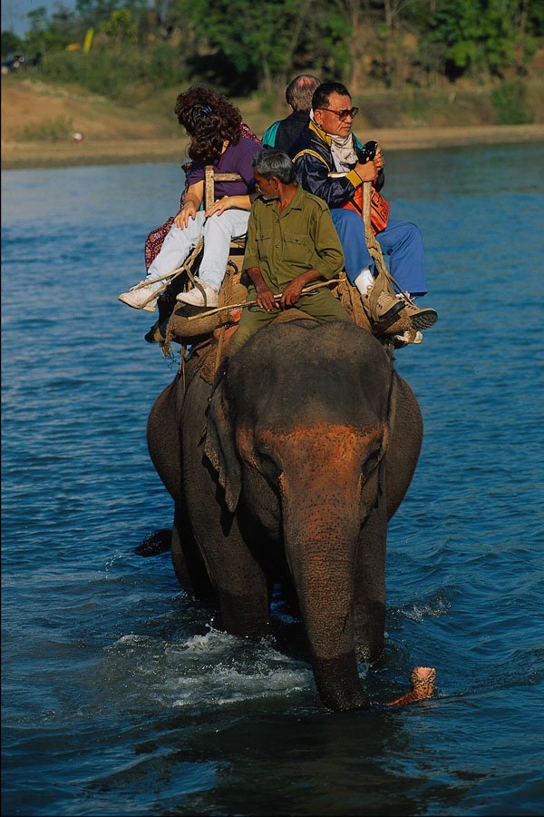 783048 An Elephant Ride, Royal Chitwan National Park, Nepal A4 Photo Print