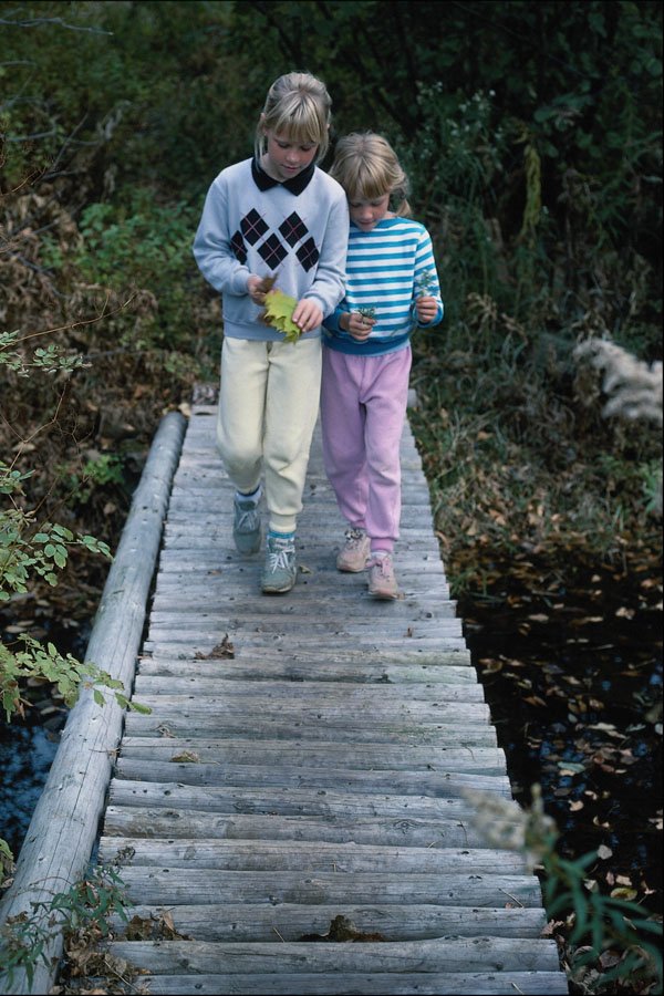 784029 Nature Walk A4 Photo Print