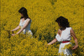 784033 Girls Gathering Rape Seed Flowers A4 Photo Print