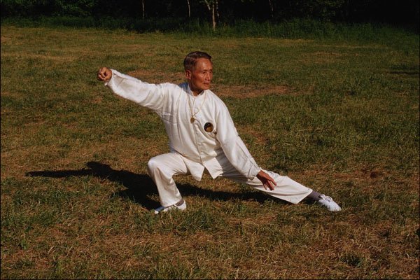 784096 Snake Creeps Down, Tai Chi Move By Grand Master JouTrongHwa A4 Photo Print