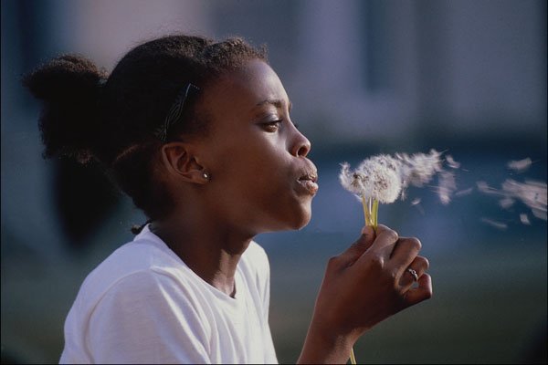 784098 Girl Blowing Dandelion Seeds A4 Photo Print