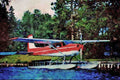 786058 Cessna Floatplane A4 Limited Edition Watercolour Print