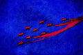 786076 Red Arrows And Hawk T1 A's In Formation, Royal Air Force, Lakenheath, U.K. A4 Limited Edition Watercolour Print