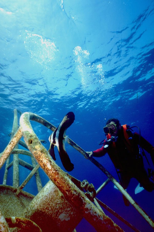 787000 Diver On Wreck A4 Photo Print