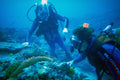 787016 Divers, Great Barrier Reef, Australia A4 Photo Print