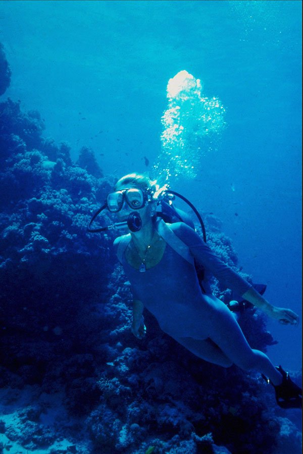 787040 Diver On Great Barrier Reef, Australia A4 Photo Print