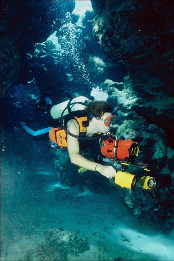 787076 Diver Scene A4 Photo Print
