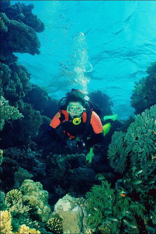 787077 Diver Scene A4 Photo Print