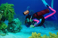 787078 Diver Scene A4 Photo Print