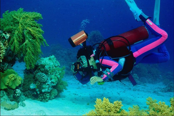 787078 Diver Scene A4 Photo Print