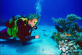 787091 Diver Studying Coral Reef A4 Photo Print