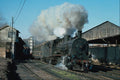 788023 No. 44062 Leaves Ismir Basmane, Turkey A4 Photo Print
