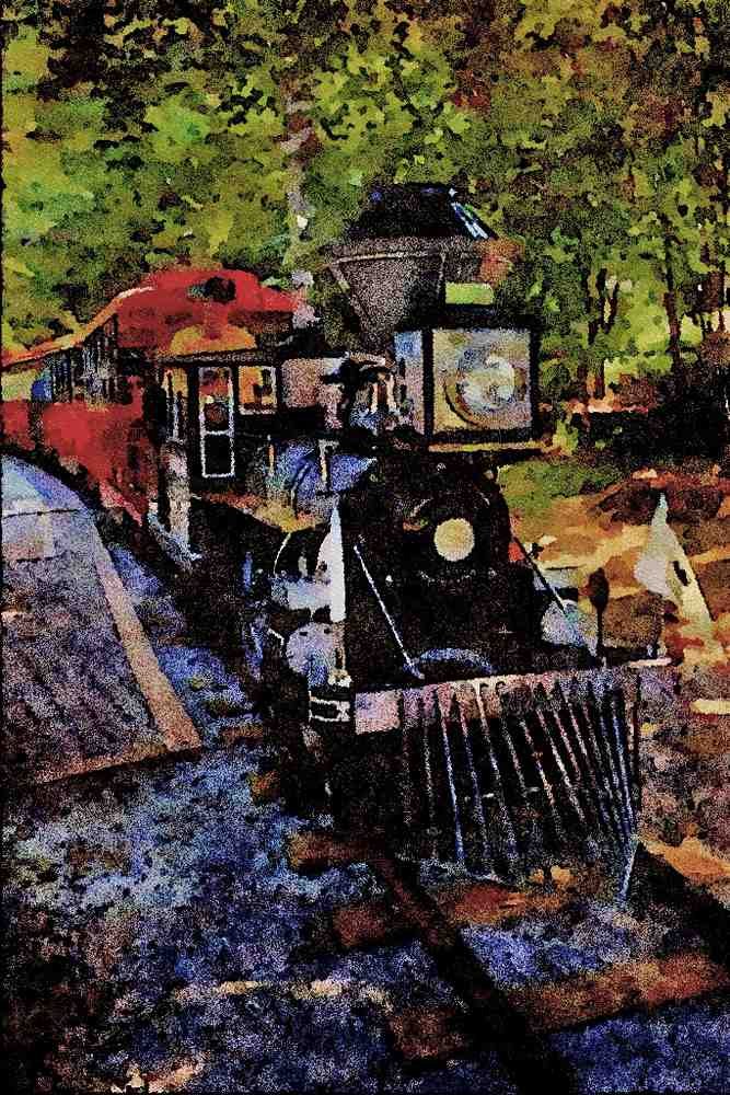 788030 Atlanta Zoo Train Ride A4 Limited Edition Watercolour Print