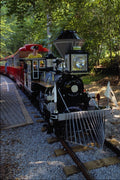 788030 Atlanta Zoo Train Ride A4 Photo Print