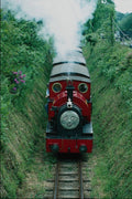 788036 Talyllyn Railway, Peter Sam, Having Just Left Brynglas Station A4 Photo Print