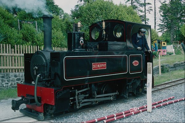 788038 Teifi Valley Railway, Visiting Locomotive Sergeant Murphy A4 Photo Print