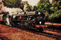 788045 Clan Line Princess Risborough, Buckinghamshire, England A4 Limited Edition Watercolour Print