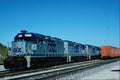 788061 CSX EMD No. 6777 With Tropicana Juice Train, Bradenton, Florida, U.S.A. A4 Photo Print
