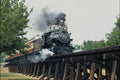 788070 Tarantula Railroad, Fort Worth, Texas, U.S.A. A4 Photo Print
