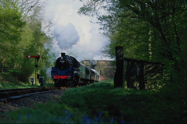 788096 Bluebell Railway, West Sussex, U.K. A4 Photo Print