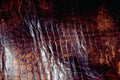 789021 Lizard Skin Leather A4 Photo Print