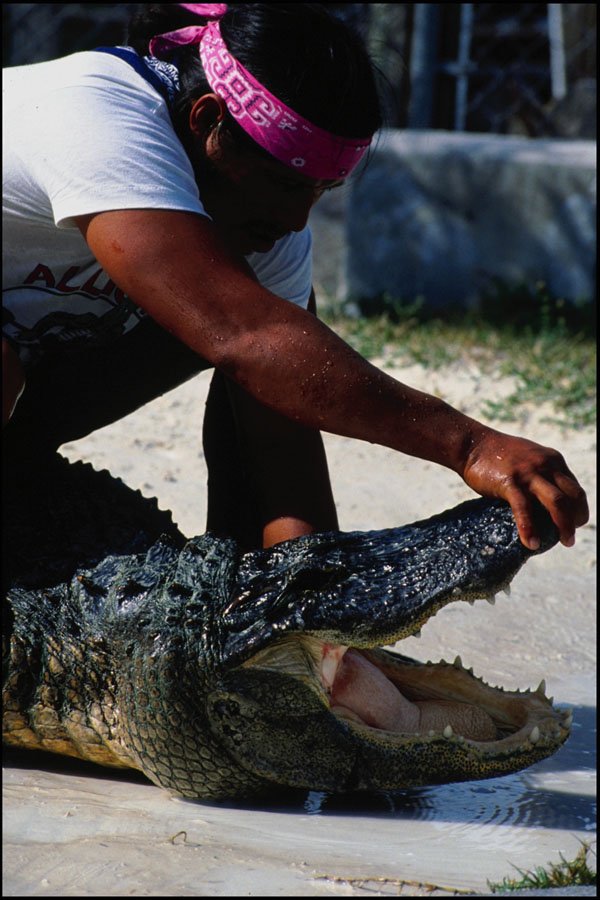 789034 Man And Crocodile, Florida, U.S.A. A4 Photo Print