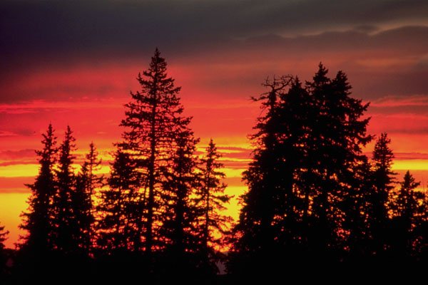 790002 Sunset Near Cedar Breaks National Monument, Brian Head, Utah, U.S.A. A4 Photo Print