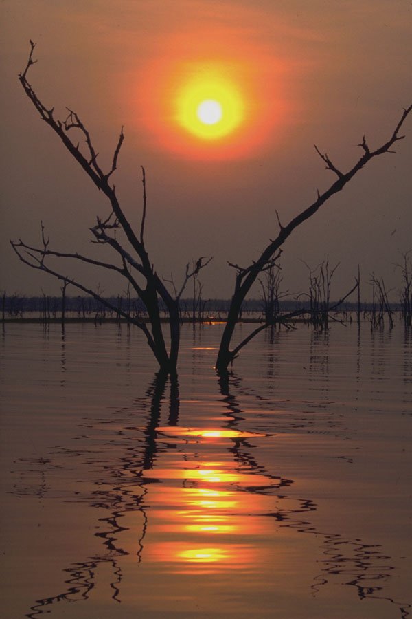 790009 Kariba Sunset, Africa A4 Photo Print