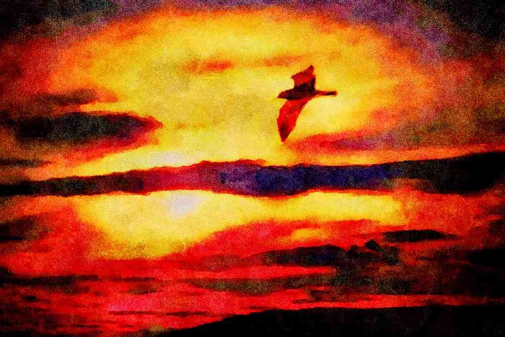 790011 Sunset, Bird In Flight A4 Limited Edition Watercolour Print